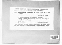 Image Associated With the Occurence